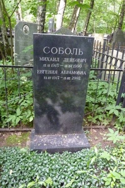 Соболь Михаил Лейбович